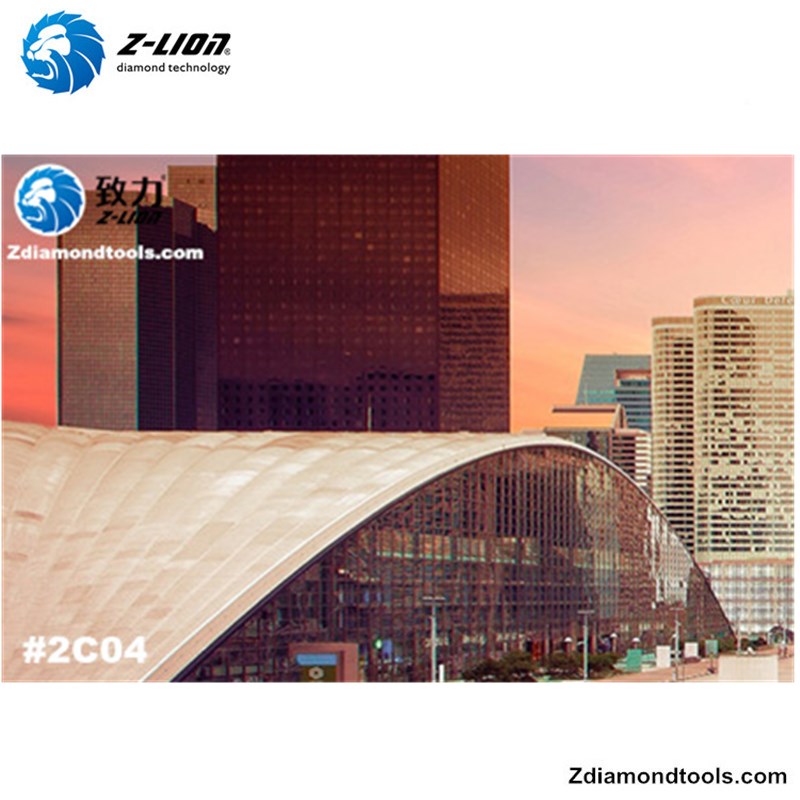 2019 The 10th China Surface Polishing Exhibition #Z-LION DIAMOND TOOLS